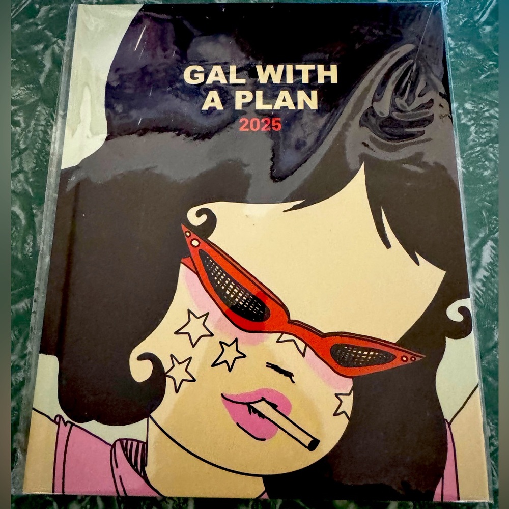 Valfre Gal With a Plan Daily Planner 2025: Brand new, still in packaging!